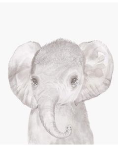 Mamas & Papas Elephant Picture - WTTW Grey Elephant